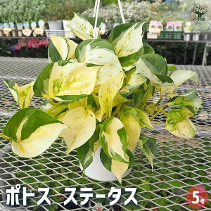 yz|gX Xe[^X݂ y ϗtA 5^1 z ϗt CeA CeAO[ S[f|gX