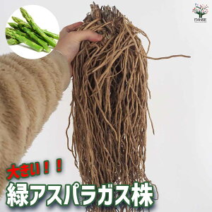 yz΃AXpKX TCYIׂ܂ 傢TCY`MKW{TCY ؕc ؊ 劔 c   In͔| nEX͔| 뉀 x_  Vs n lC ς炪 