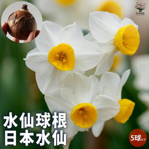 yz{ 炫萅 ԋ 5Zbg  Ԃ̋   񂹐A K[fjO ӏ ͔| 뉀؉  [
