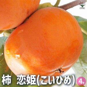 y}\N[|zzz` P ʎ̕c 1Nږؕc4 JLmL ` V{c[  [