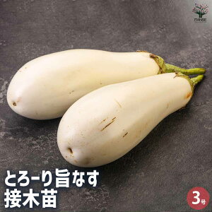 yziX ؂̕c ږؕc3|bg iXc Ȃc ֎qc ֎q̕c n K[fjO ƒ؉  [