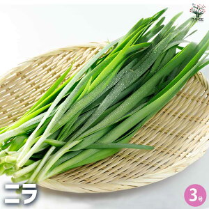 yzj ؂̕c 3|bg B Ô  t^W r^~ Je JVE  [