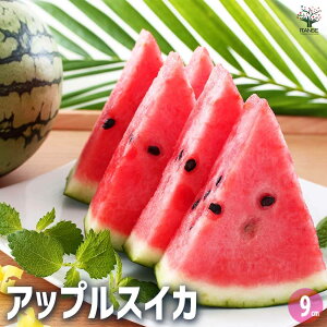 yzXCJ̕c AbvXCJ ؂̕c 9cm|bg ؕc  ʕ ʎc K[fjO ƒ؉ watermelon  XCJ ʎ E  N Citrullus lanatus Z Â 