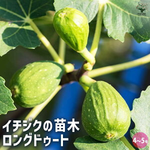 yzC`WN OhD[g ʎ̕c 4 1 ʎc C`WN̕cC`WN   [