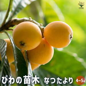 yzf ( т ) ̕c Ȃ ʎ̕c 4 1 rc r̕c r̕c rc fc fc тc т̕c  [