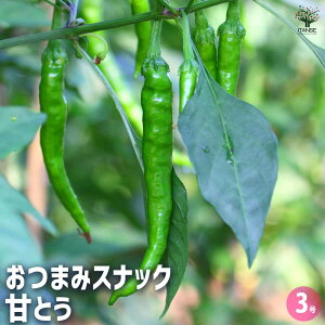 yzƂ炵̕c ܂݃XibNÂƂ ؂̕c 3 Ƃ炵 Ƃ炵c gEKV gEKVc hqc Ƃ炵c  c ؕc ƒ؉ x_؉ A