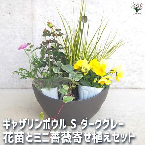 【マラソン期間★ポイント5倍】ギャザリン ボウル ダークグレー 資材 Sサイズ 季節の花苗&カラーリーフ寄せ植え風 投げ込みAセット プラスチック 寄せ植え コンパクト 受皿 浅皿 プランタ