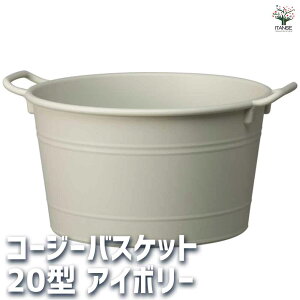 yzR[W[oXPbg AC{[  20^ Aؔ RpNg M v^[  [