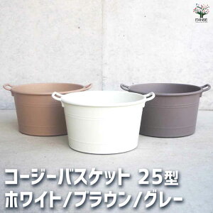 yzR[W[oXPbg AC{[ uE O[  25^ Aؔ RpNg M v^[  [