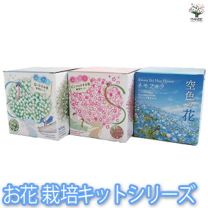 yz͔|Zbg ԃV[Y ltB ӂ肩ݑ ȒPLbg ͔|Lbg yK[fjO | Ă ĕ  [