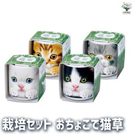 【マラソン期間P5倍】栽培セット おちょこで猫草 かわいい猫デザインの栽培キット 簡単キット 栽培キット お手軽ガーデニング 室内 送料無料 即納