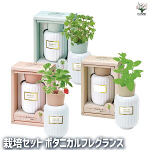 yz͔|Zbg u[tOX ďIfBt[U[ ȒPLbg ͔|Lbg yK[fjO  F  [