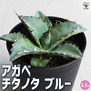 yzAKx `^m^ u[ 3.5|bg rO ItBX  CeA ^  IV Ă₷ j j  [