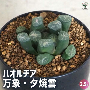 yznI`A (  )  [ĉ_ A 2.5|bg A nI`A nIVA ϗtA  [