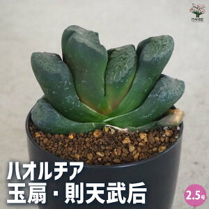 yznI`A (  ) ʐ V@ A 2.5|bg A nI`A nIVA ϗtA  [