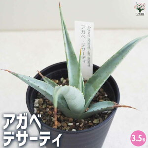 yzAKx fU[eB A 3.5 1 rO ItBX  CeA ^  IV Ă₷ j j  [