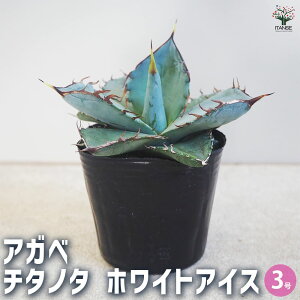 yzAKx `^m^ zCgACX A 3 rO ItBX  CeA ^  IV Ă₷ j j  [