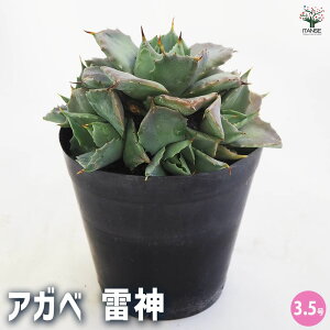 yzAKx _ A 3.5 1 rO ItBX  CeA ^  IV Ă₷ j j  [