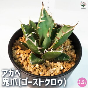 yzAKx S ( S[XgNE ) A 3.5 1 rO ItBX  CeA ^  IV Ă₷ j j  [