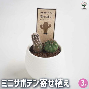 yz~jT{e _u imix A 3 ڂĂ l A ϗtA rO ItBX   [