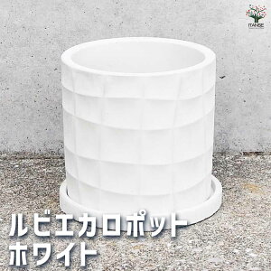 yz픫 rGJ |bg zCg ( Mt ) 픫 MTCY 1 Aؔ  A v^[   k _ i`  [