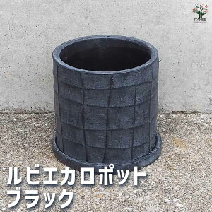 y}\ԁPAbvz픫 rGJ |bg ubN ( Mt ) 픫 MTCY 1 Aؔ  A v^[   k _ i`  [