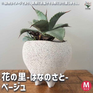 yzԂ̗-͂Ȃ̂- x[W 픫 M 1  Z~bN ~ AeB[N CeA  [