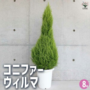 y}\N[|zzzRjt@[ EB}  8  jt NX}Xc[ɂANX}X[XƂĂgp܂  [