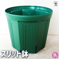 【送料無料】スリット鉢 プラ鉢 9号 鉢 植木鉢 鉢植え スリット 排水性 水はけ 通気性 プランター 野菜 …