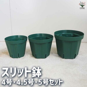 yzXbg v 4 4.5 5Zbg  Aؔ A Xbg r ͂ ʋC v^[    [