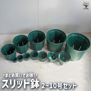 yzXbg 2`10Zbg v 12 e1  Aؔ A Xbg r ͂ ʋC v^[    [