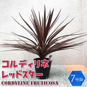 yzRfBlbhX^[ 7|bgc ^ ϗtA 7 1 rO ItBX  CeA ^  S Ă₷ K[fjO j j zj