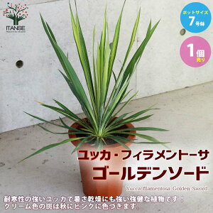 yzbJ tBg[T S[f\[h ( t ) rOItBXTCY ϗtA 7 1 rO ItBX  CeA ^  IV 