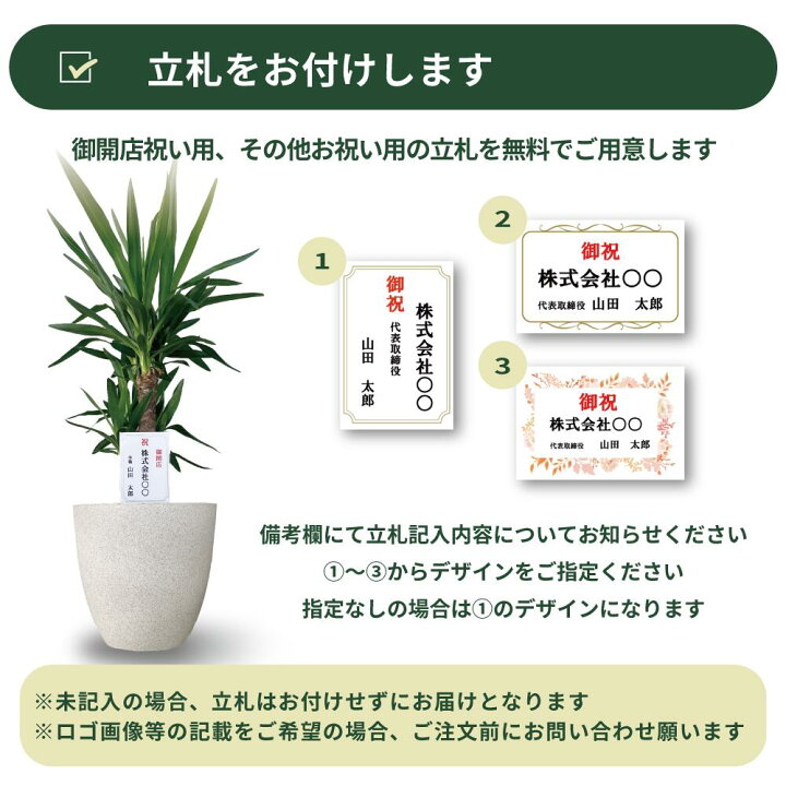 楽天市場】【送料無料】ドラセナ カンボジアーナ【観葉植物 8号鉢／1個  