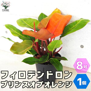 yztBfh vXIuIW ϗtA 8 1 tBf tBfh SGfB rO ItBX  CeA ^  [