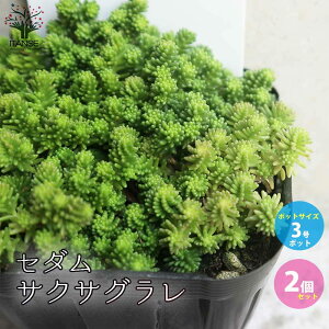 yzZ_ TNTO OhJo[c A 3|bg 2Zbg Z_ OhJo[ A ϗtA rO ItBX  CeA  [