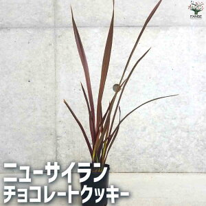 yzj[TC `R[gNbL[ ϗtA 3L|bg ˗ J[[t  [