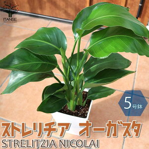 yzrOItBXTCY Xg`A I[KX^ ϗtA XNGA5 1 Xg`A Ml gsJ rO ItBX  CeA  [