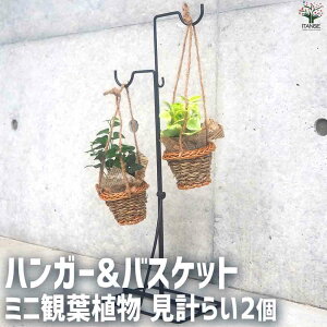 yznK[&oXPbgϗtv ϗtA 3|bg nK[X^h oXPbg ~jTCY CeA CeAO[   [