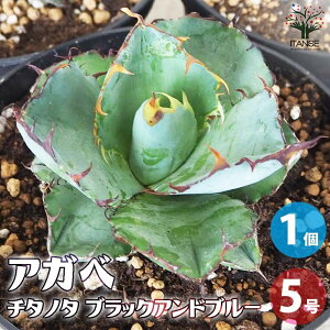 yzAKx `^m^ ubNAhu[ A 5 1 rO ItBX  CeA ^  IV Ă₷ j j  [