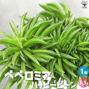 yzϗtA yy~A nbs[r[ ϗtA 3.5 rO ItBX  CeA ^  S Ă₷ K[fjO j j v[g lC i 