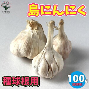 球根 ニンニクの人気商品 通販 価格比較 価格 Com