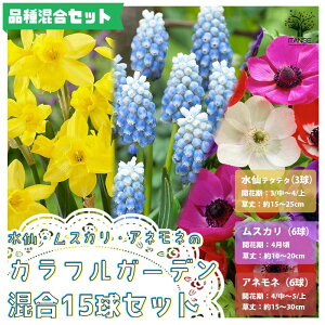 球根 ムスカリの人気商品 通販 価格比較 価格 Com