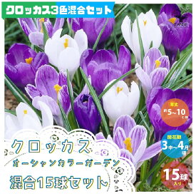 楽天市場 クロッカス 絞りの通販