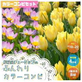 楽天市場 寄せ植え セット 球根 ガーデニング 農業 花 ガーデン Diyの通販