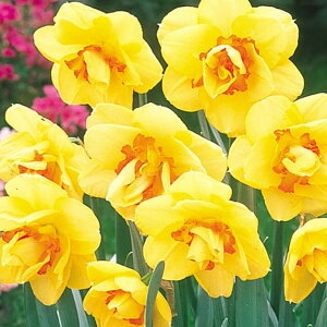 yz d炫 ^q` ԋ 2Zbg ԋ ̉ A nA K[fjO  [