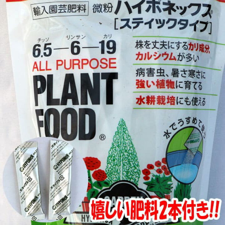 楽天市場】【送料無料】これだけでOK！サニーレタス 赤葉 ロロロッサ 