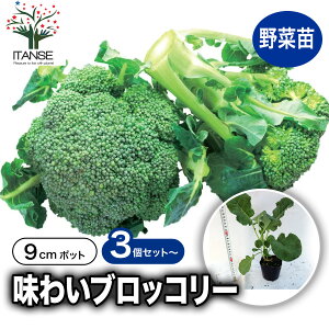 yz킢ubR[ ؕc 9cm|bg ubR[c Ԃ[c n subR[  r^~C Je t Ö Â lC ʍ  [