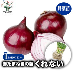 y}\N[|zzzʂ˂c iFȂ (  ) ԃ^}lM ؂̕c 50{  ʂ˂ ʔK ^}lM ܂˂ K c ʂ˂̕c ؕc ƒ؉ ȒP͔| x