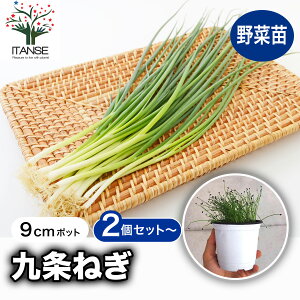 yz˂ c ؕc 9cm|bg lMc Kc S Ă₷ N ʔN n  n Đ ˂ lM tlM ׂ˂ ׃lM x_؉ Lb`  V